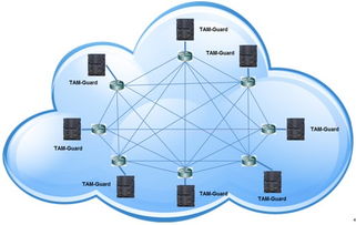 新手必看 数据中心不同服务器部署差异与数据处理服务解析